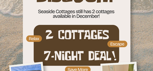 Special Availability in December!