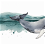 Wonderful Whale-watching in Winter in False Bay 2024