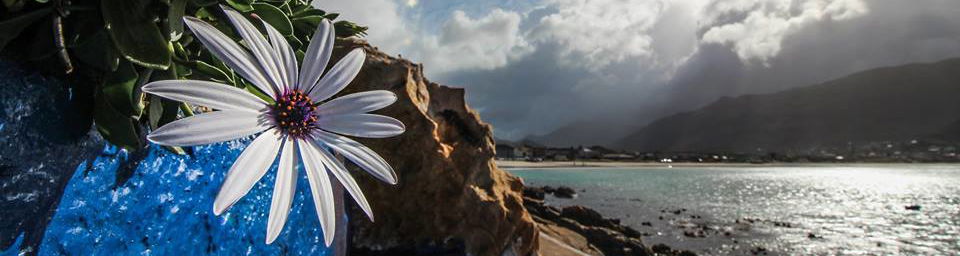 Fish Hoek Beach in March