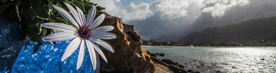 Fish Hoek Beach in March
