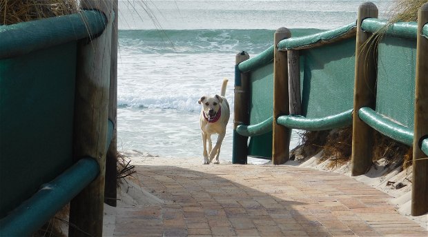 Beach Access Pathway - Seaside Cottages Fish Hoek