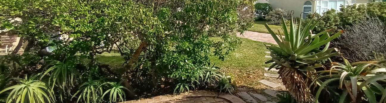 Sunny patio