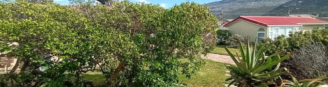 Lush garden views at Seaside Cottages