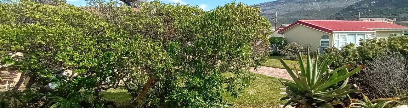 Lush garden views at Seaside Cottages