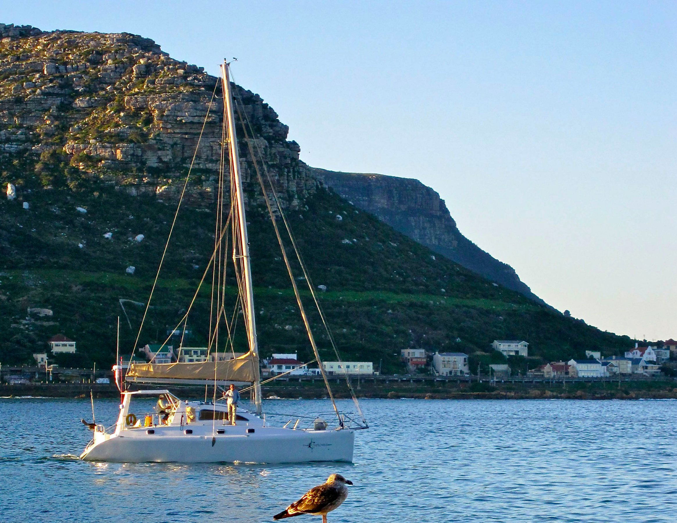 Sailing in Fish Hoek Bay