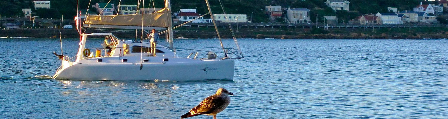 Sailing in Fish Hoek Bay