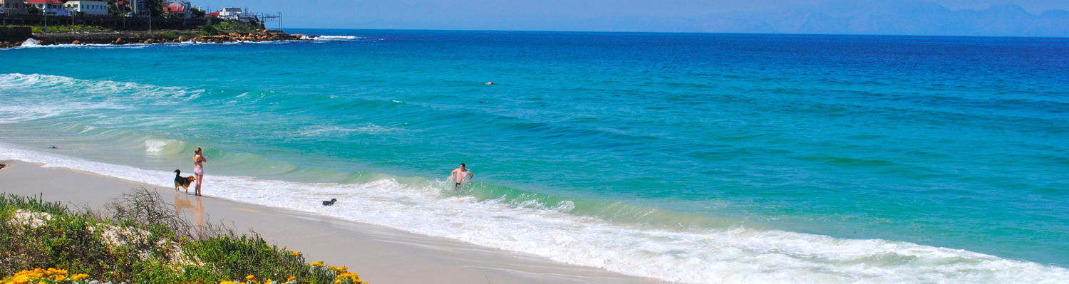 Fish Hoek Beach Seasonal Dunes