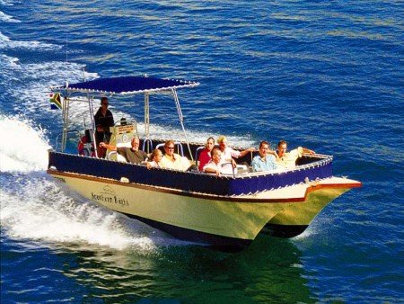 Seal Island Boat Trips - Simons Town