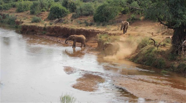 Tourism in Conservation Areas in Africa Tourism in Conservation Areas in Africa