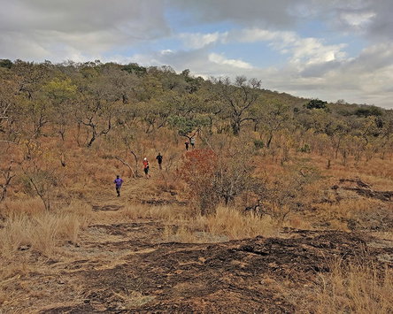 Mbuluzi Trail Run 4th July 2026