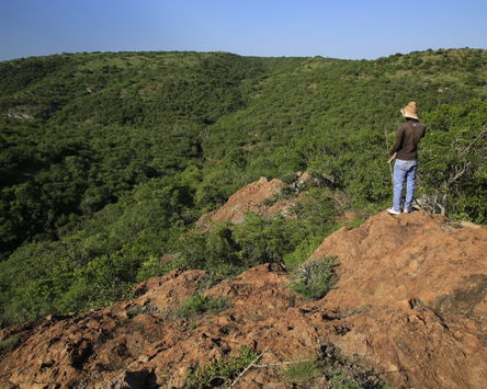 Mhlumeni Community Camp