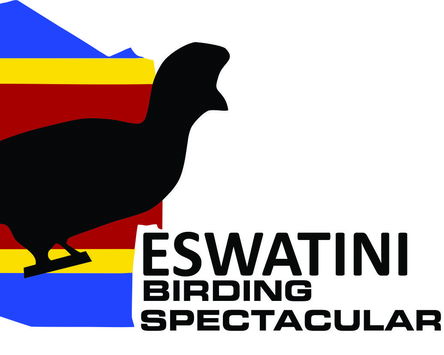 Eswatini Birding Spectacular 2026