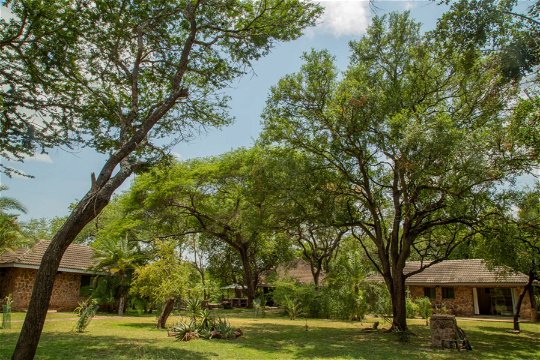 Singwe Lodge Mbuluzi Game Reserve