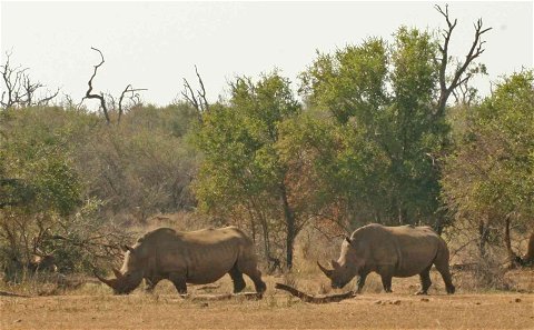 Visit Neighbouring Game Reserves