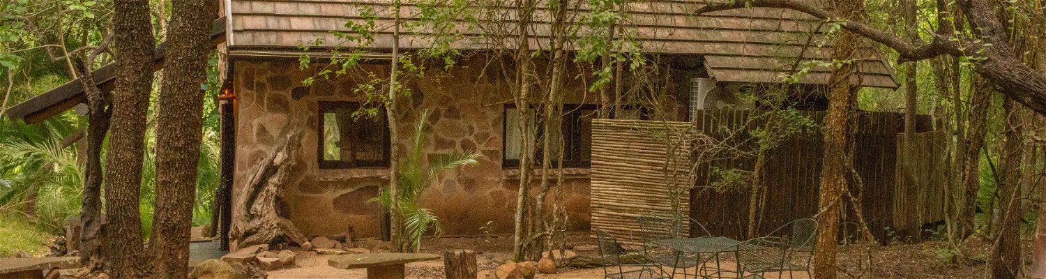 Leadwood. Mbuluzi Game Reserve
