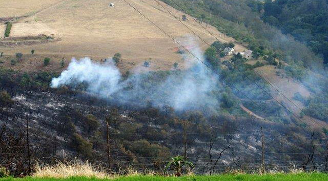 Fires in April and May have devastated large parts of Ruiterbos and the Leeukloof. Blommekloof is currently OK (3 May, 2017) Fires in April and May have devastated large parts of Ruiterbos and the Leeukloof. Blommekloof is currently OK (3 May, 2017)