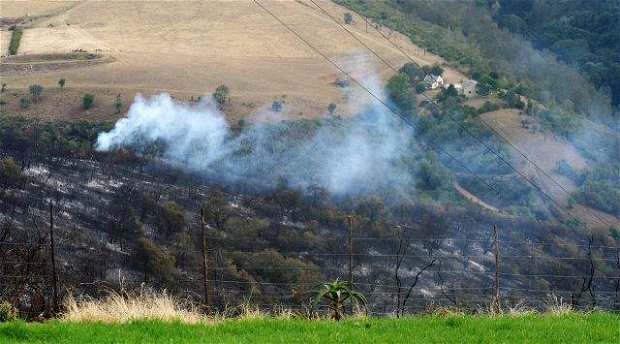 Fires in April and May have devastated large parts of Ruiterbos and the Leeukloof. Blommekloof is currently OK (3 May, 2017)