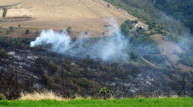 Fires in April and May have devastated large parts of Ruiterbos and the Leeukloof. Blommekloof is currently OK (3 May, 2017) Fires in April and May have devastated large parts of Ruiterbos and the Leeukloof. Blommekloof is currently OK (3 May, 2017)