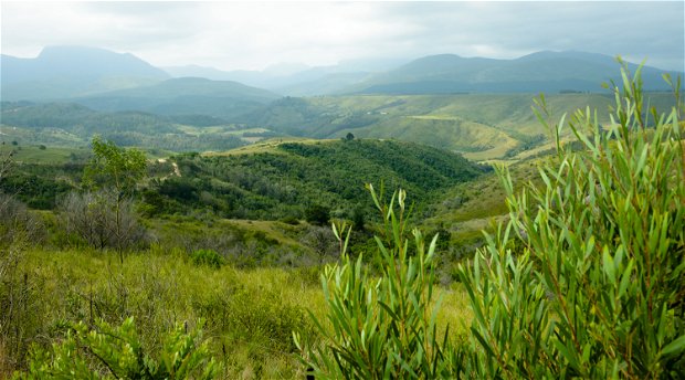 Leeukloof is a secluded valley near Ruiterbos, off the R328 between Oudtshoorn and Mossel Bay. Farm accommodation. Self catering accommodation