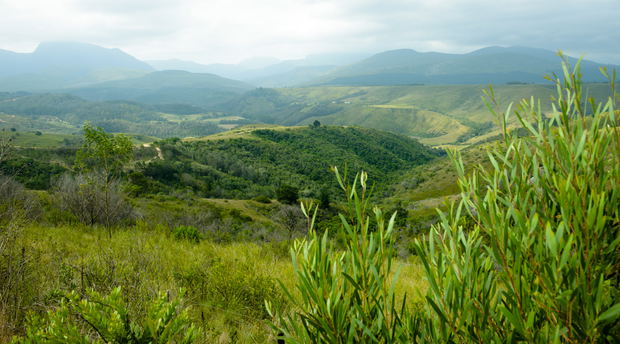 Leeukloof is a secluded valley near Ruiterbos, off the R328 between Oudtshoorn and Mossel Bay. Farm accommodation. Self catering accommodation Leeukloof is a secluded valley near Ruiterbos, off the R328 between Oudtshoorn and Mossel Bay. Farm accommodation. Self catering accommodation