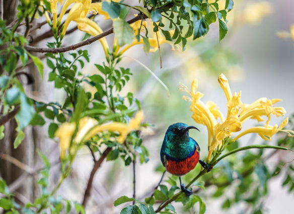 Blommekloof, pet-friendly self accommodation in Leeukloof, Outeniqua Mountains, near Mossel Bay