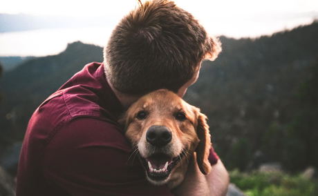 Blokkemkloof: pet-friendly cottages, accommodation near Mossel Bay. Photo by Eric Ward on Unsplash Blokkemkloof: pet-friendly cottages, accommodation near Mossel Bay. Photo by Eric Ward on Unsplash