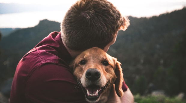 Blokkemkloof: pet-friendly cottages, accommodation near Mossel Bay. Photo by Eric Ward on Unsplash Blokkemkloof: pet-friendly cottages, accommodation near Mossel Bay. Photo by Eric Ward on Unsplash