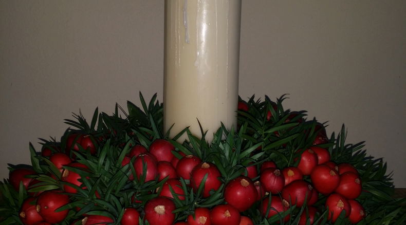 Indigenous Christmas wreath made from clivia breries and yellowwood twigs. Indigenous Christmas wreath made from clivia breries and yellowwood twigs.