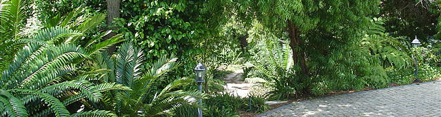 Entrance to Blaauwheim;s garden