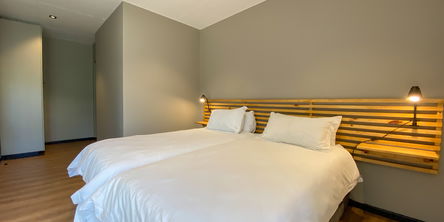 The Nest - Standard Room