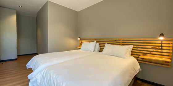 The Nest - Standard Room