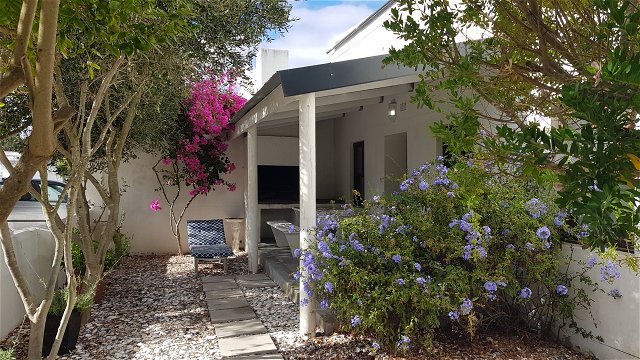 Private protected braai patio and picnic bench. Shell garden with colourful bougainvillea and olive trees