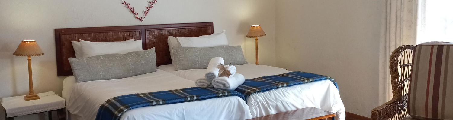 Two single beds for friends sharing one room
