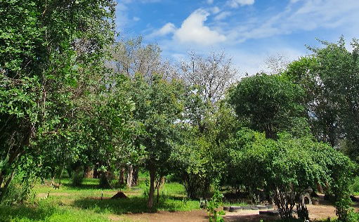 Some nature views at Munga Eco-lodge