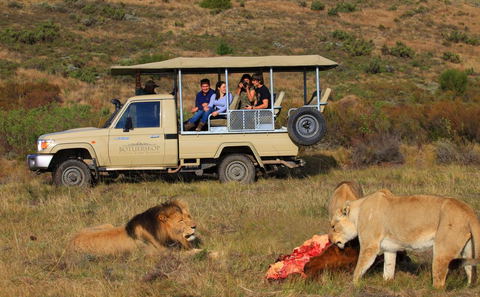 Botlierskop Game Reserve