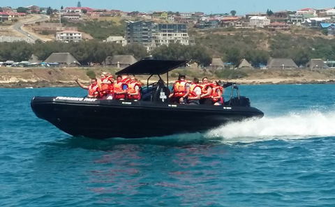 Freaking Fast Waverider