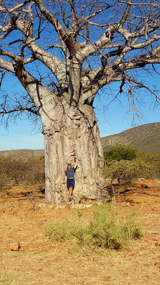 Kapika Waterfall Lodge/Epupa Lodge, Namibia - surrounding