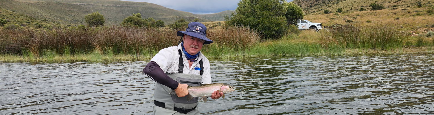 Karoo Trout