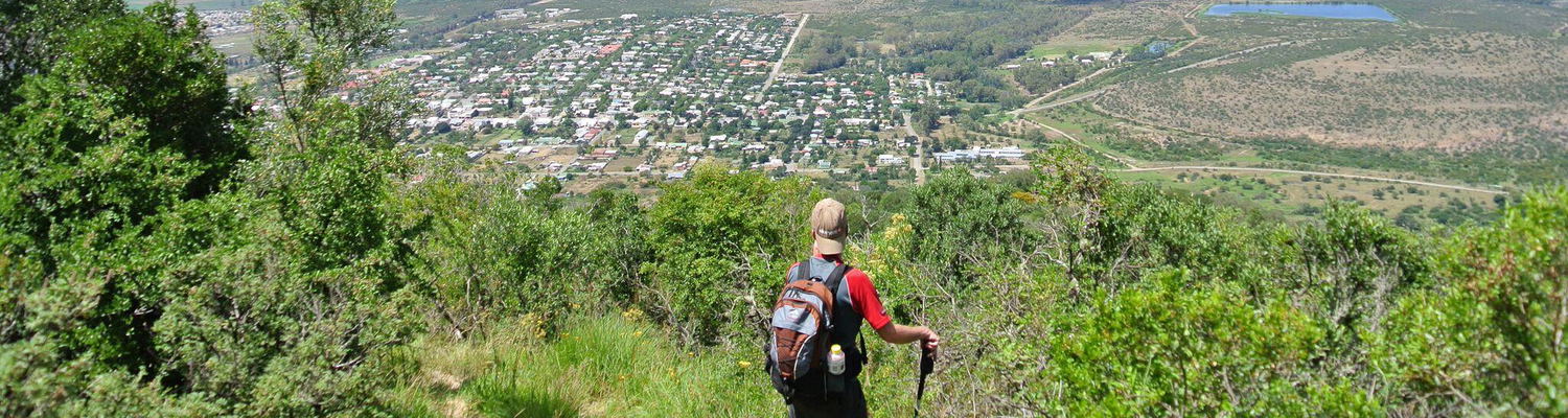 Wildlife, activities in Sommerset East