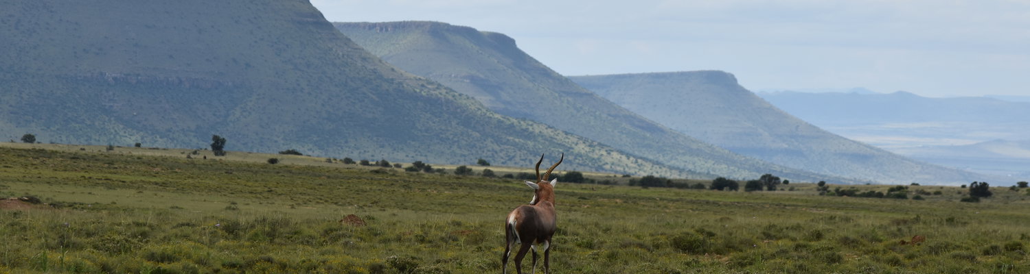 Mountain Zebra National Park