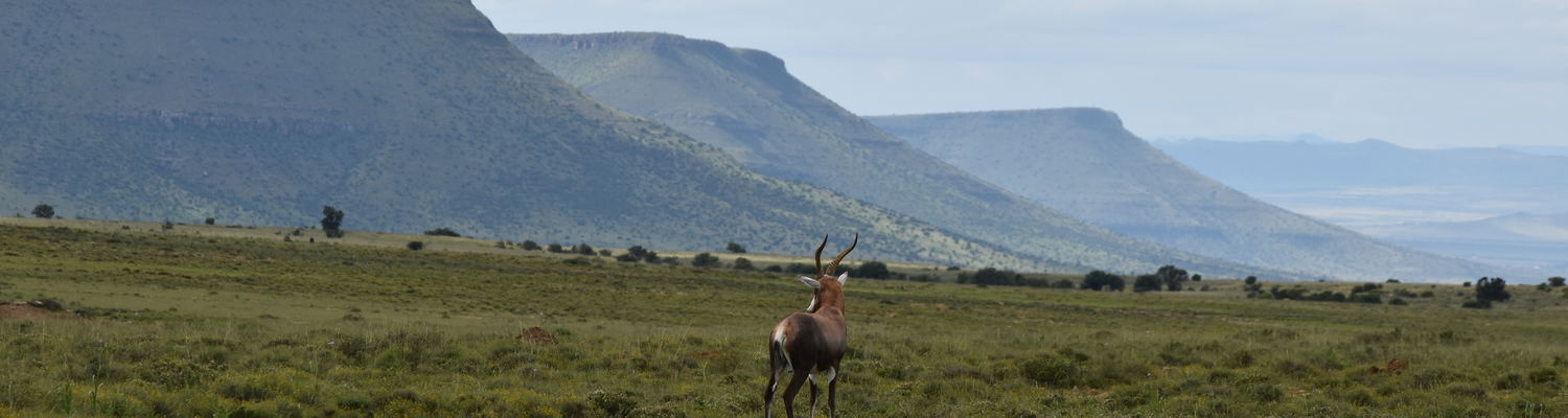 Mountain Zebra National Park