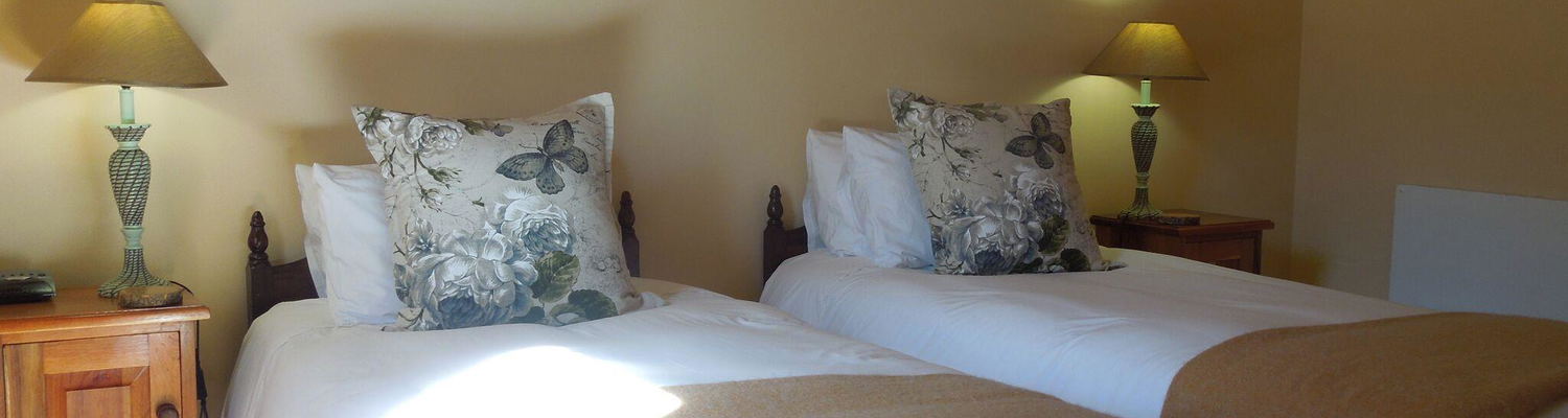 Business Room, Guesthouse, The Angler and Antelope Guesthouse