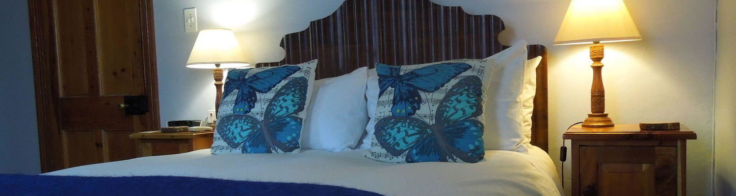 Standard Room, The Angler and Antelope Guesthouse