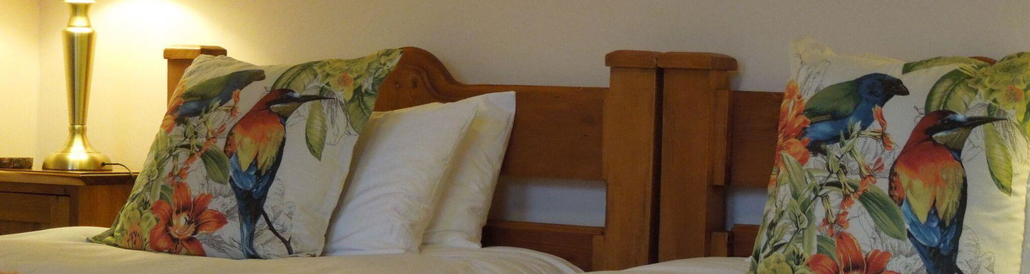 Business Twin room, Angler and Antelope Guesthouse