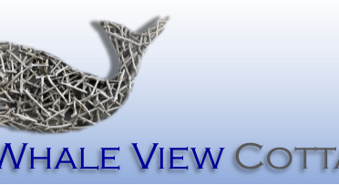 Cosy Whale View Cottage, Witsand, Garden Route