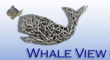 Cosy Whale View Cottage, Witsand, Garden Route