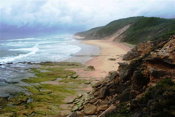 Sedgefield beaches