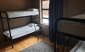 8 Bed Mixed Dorm 