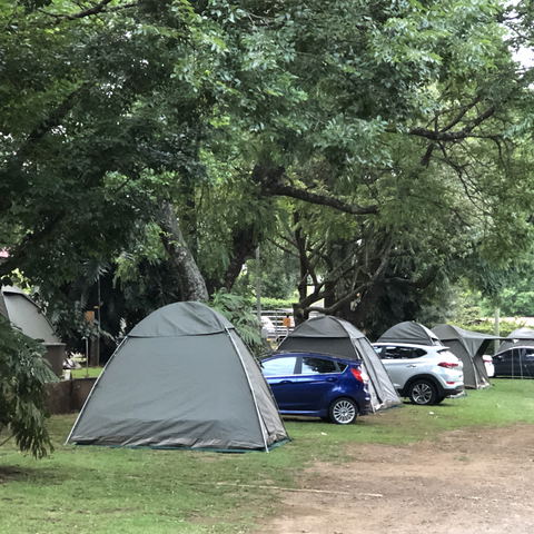 20 Tent -, Caravan - and Motorhome sites, 220V10A Electrical points, Braais, Grassed, Semi-grassed stands, Shaded and Unshaded Stands.