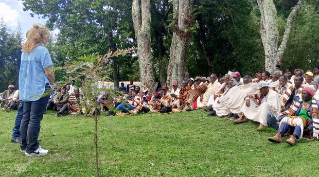 The Songo ( Sidama Elders Council) is a traditional conflict resolution and reconcilation gathering. The Songo ( Sidama Elders Council) is a traditional conflict resolution and reconcilation gathering.